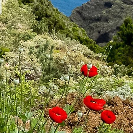 The Poppies Guest House - 100M Ocean - Private Spaces קנדלריה מראה חיצוני תמונה