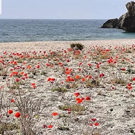 The Poppies Guest House - 100M Ocean - Private Spaces קנדלריה מראה חיצוני תמונה