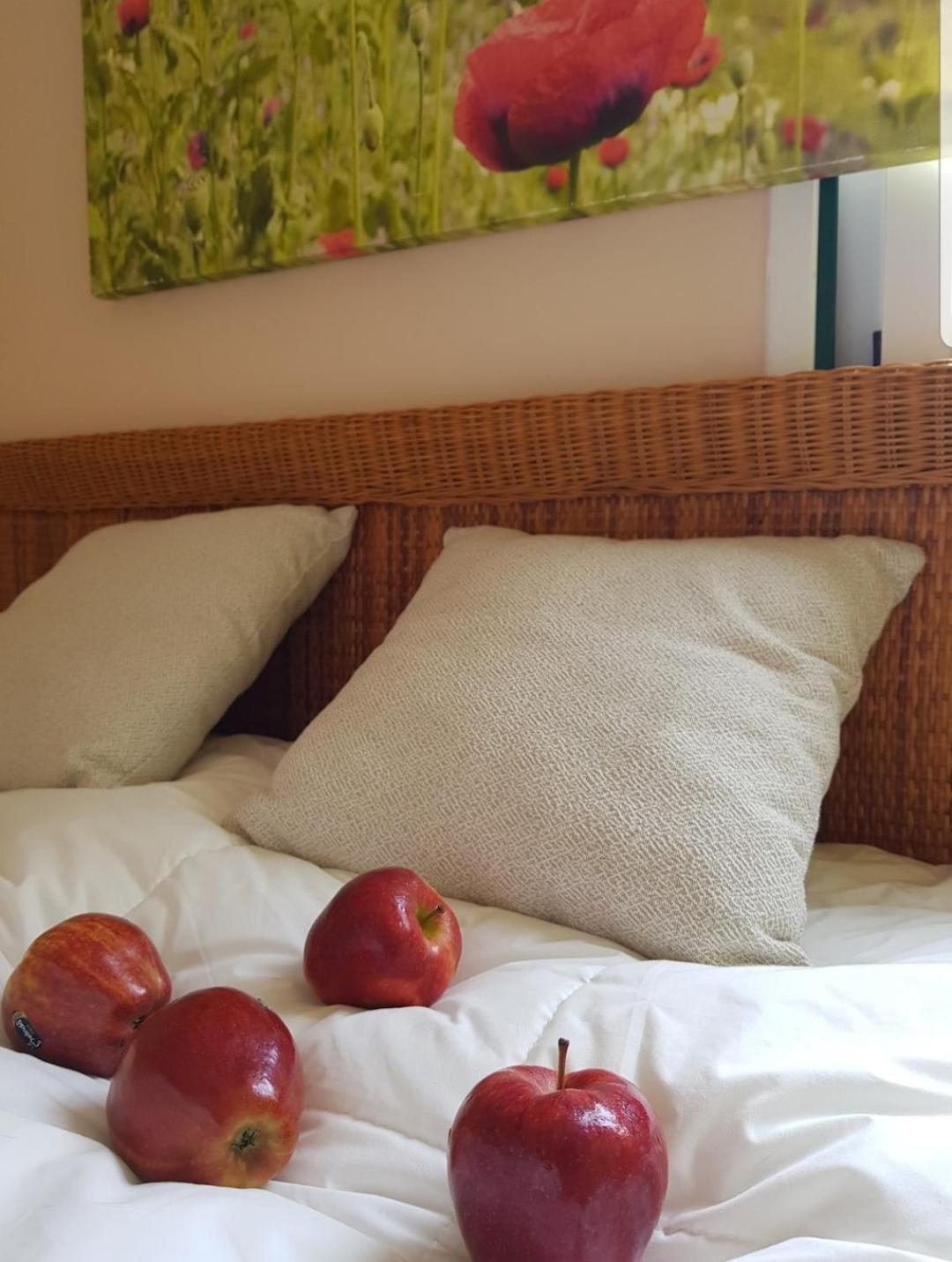 The Poppies Guest House - 100M Ocean - Private Spaces קנדלריה מראה חיצוני תמונה