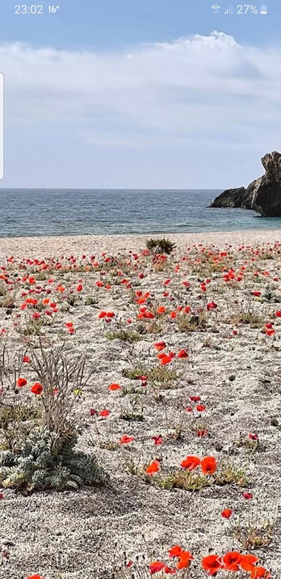 The Poppies Guest House - 100M Ocean - Private Spaces קנדלריה מראה חיצוני תמונה